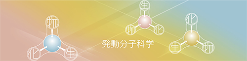 新学術領域研究発動分子科学のロゴ